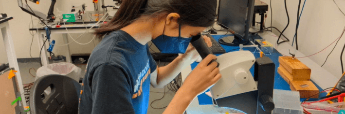 A Science Internship Program intern looking through a microscope.